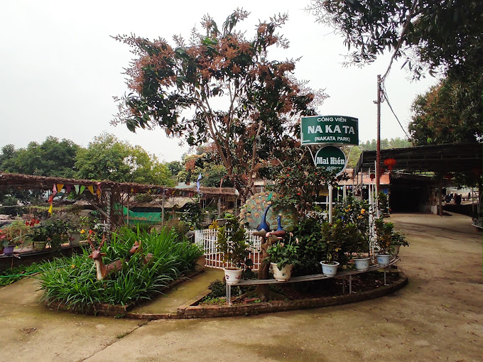 Triển khai mô hình trang trại Mai Hiền